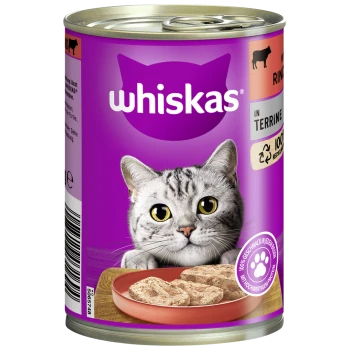 Dose Whiskas-Katzenfutter mit Gesicht einer grauen getigerten Katze auf lila Etikett mit der Aufschrift 'whiskas' und einer Schale Nassfutter