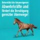 Ein braunes Pferd trabt vor einem türkisfarbenen Hintergrund mit dem Text: "Unterstützt natürliche Abwehrkräfte und beruhigt gereizte Atemwege!"