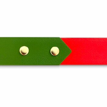 Eine Nahaufnahme eines zweifarbigen Haustierhalsbands, das ein grünes und rotes Design mit goldenen Nieten zeigt.