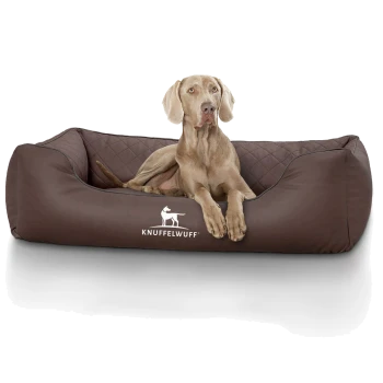 Ein hellbrauner Hund entspannt sich auf einem gemütlichen, dunkelbraunen Hundebett mit einem gesteppten Design, mit dem Logo "KNUFFELWUFF."