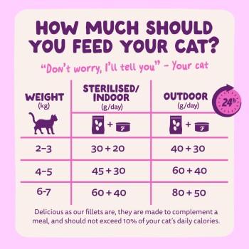 How much should you feed your cat? Weights 2–3,4–5,6–7 kg. Indoor: 30+20;45+30;60+40 g/day. Outdoor: 40+30;60+40;80+50.