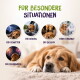 Golden Retriever liegt; Überschrift 'FÜR BESONDERE SITUATIONEN'; Beschriftungen: Gewitter, Reisen, Besuch, Tierarzt, Feuerwerk.