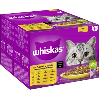 Multipack 1+ Geflügel Auswahl in Sauce 24 x 85g Whiskas Katzenfutterbox mit einer Nahaufnahme des Gesichts einer grauen getigerten Katze, mit dem Text "Les Festins à la Volaille" und "100% qualité."