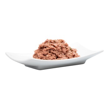 Eine Portion Haustierfutter, die einer glatten, rosafarbenen Paste ähnelt, in einer weißen Schüssel vor einem transparenten Hintergrund präsentiert.