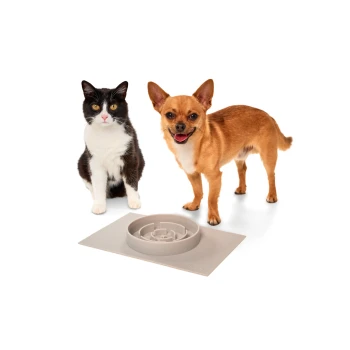 Eine schwarz-weiße Katze sitzt neben einem braunen Hund, beide schauen in die Kamera. Vor ihnen steht eine beige langsame Futter-Schüssel.