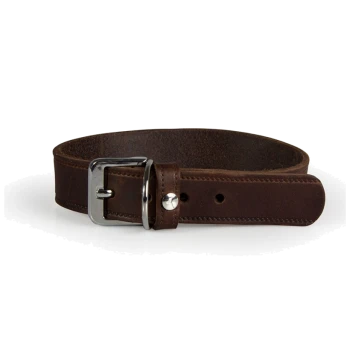 Brown leather pet collar with a silver buckle and adjustable holes, displayed on a white background.