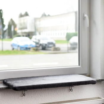 Eine graue Katzenfensterbank, die auf einer Fensterbank montiert ist, mit Blick auf geparkte Autos und ein Gebäude draußen.