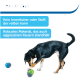 Ein verspielter Hund beschäftigt sich mit bunten Kauspielzeugen. Text-Highlights: "Reiner Spaß," "Kein Innenfutter," und "Robustes Material."