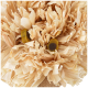 Nahaufnahme von natürlichen Holzspänen mit zwei kleinen, bunten Haustierleckerlis, ideal für kleine Tiere.