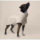 Ein stilvoller Hund in einem hellbeigen Fleece-Mantel, der mit einem neugierigen Ausdruck nach oben schaut, vor einem sanften neutralen Hintergrund.