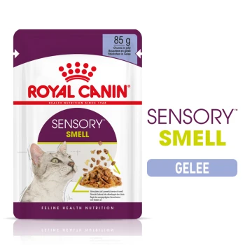 Royal Canin Sensory Smell Katzenfutterbeutel, 85g, mit Stücken in Gelee, mit einer Illustration einer Katze und Text, der die sensorischen Vorteile hervorhebt.