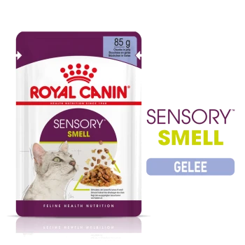 Royal Canin Sensory Smell Katzenfutterbeutel, 85g, mit Stücken in Gelee, mit einer Illustration einer Katze und Text, der die sensorischen Vorteile hervorhebt.