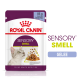 Royal Canin Sensory Smell Katzenfutterbeutel, 85g, mit Stücken in Gelee, mit einer Illustration einer Katze und Text, der die sensorischen Vorteile hervorhebt.