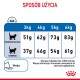 Infografika szczegółowo opisująca wytyczne dotyczące karmienia kotów w zależności od wagi, z zalecanymi dziennymi ilościami dla normalnych i otyłych kotów.