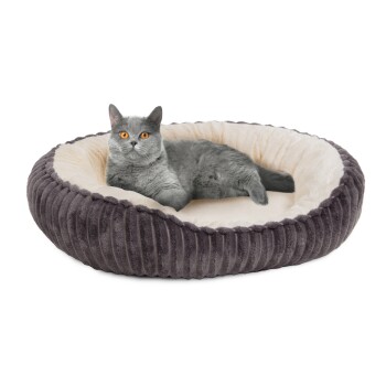 Katzenbett Cameron