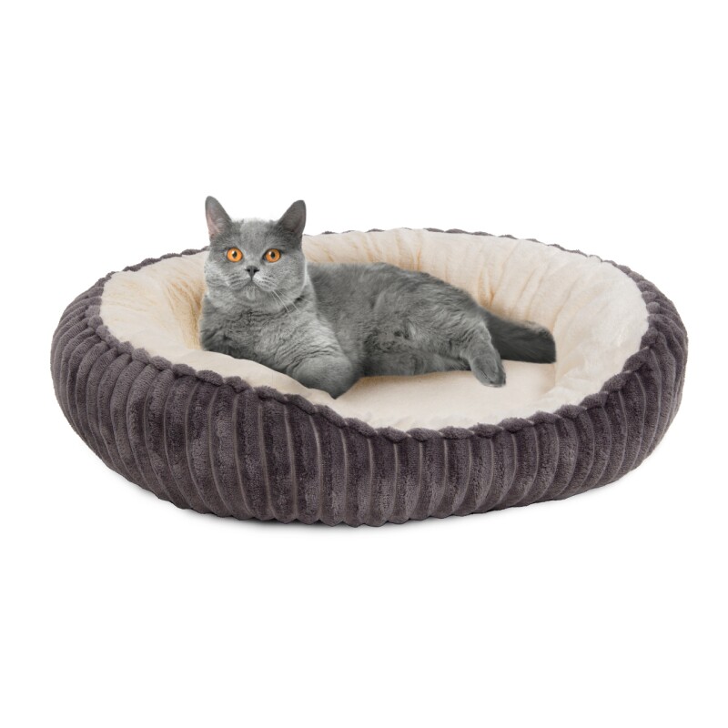 Wallace & Jones Katzenbett Cameron