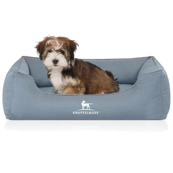 Kleiner braun-weiß flauschiger Welpe sitzt in einem blauen rechteckigen Hundebett mit weißem 'KNUFFELWUFF'-Logo.