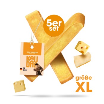 XL Käse-Kau-Sticks für Hunde, 5-teiliges Set, mit einem Etikett, das 'Kau Da' und ein Hundebild zeigt, beschriftet mit 'Hergestellt in Deutschland.'