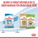 Verpackung von Royal Canin Haustierfutter für "Puppy X-Small" und "Chihuahua Adult," mit rotem und blauem Design. Der Text empfiehlt, das Futter nach 10 Monaten zu wechseln.