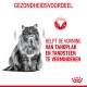 Fluffy grijze kat met een serieuze uitdrukking, tekst leest 'Helpt de vorming van tandplak en tandsteen te verminderen' en 'Gezondheidsvoordeel'.