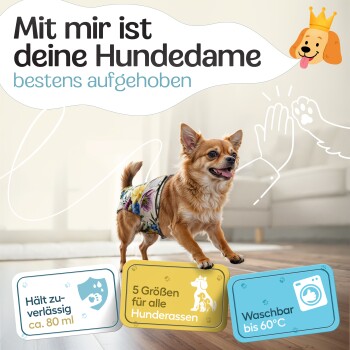 Bester Komfort für deine Hündin: extrem saugstark, 5 Größen, 3 Einstellmöglichkeiten, weiches Innenfutter, XS aktuelle Auswahl.