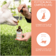 Eine Person verabreicht einem Hund Lachsöl mit einer Pipette. Die Flasche mit der Aufschrift 'Lachsöl' ist sichtbar, zusammen mit Dosierungsanweisungen für Hunde und Katzen.