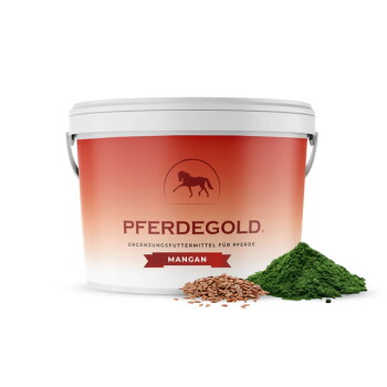Weißer Eimer mit der Aufschrift 'PFERDEGOLD', Pferdelogo und Banner 'MANGAN', daneben grünes Pulver und Samen