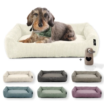 Hundebett waschbar, robuster Breit-Cordstoff mit Gratis-Beigabe Ein brauner Dackel mit einem grün karierten Halstuch ruht auf einem gemütlichen Hundebett. Erhältlich in sechs Farben mit einem herzförmigen Spielzeug.