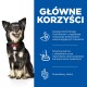Science Plan Perfect Digestion Adult Small & Mini z kurczakiem 6 kg