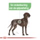 Illustratie van een bruin en witte hond met de tekst "Ter ondersteuning van de spijsvertering," die aangeeft dat het spijsverteringsondersteuning biedt.