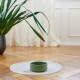 Eine grüne Futterschüssel für Haustiere steht auf einer weißen Matte auf einem Holzboden, mit einer Topfpflanze im Hintergrund und durchsichtigen Vorhängen.