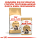 Verpackung von Royal Canin Maine Coon Katzenfutter mit einem Beutel Trockenfutter und einem Beutel Nassfutter, mit Text zur Förderung der täglichen Portionsergänzung.