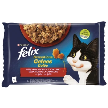 Sensations 12x85g Geschmacksvielfalt vom Land Eine Packung Purina Felix Sensations Gelees Katzenfutter mit einer schwarz-weißen Katze, mit einer Schüssel zerrissenem Fleisch in Gelee.