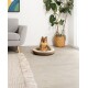 Ein flauschiger Pomeranian-Hund sitzt in einem gemütlichen runden Haustierbett auf einem Betonboden, mit einem grauen Sofa und einer Topfpflanze im Hintergrund.