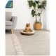 Ein flauschiger Pomeranian-Hund sitzt in einem gemütlichen runden Haustierbett auf einem Betonboden, mit einem grauen Sofa und einer Topfpflanze im Hintergrund.