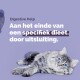 Een fluffy grijze kat met blauwe ogen op een lichtpaarse achtergrond met tekst: 'Digestieve Hulp' en 'Aan het einde van een specifiek dieet.'