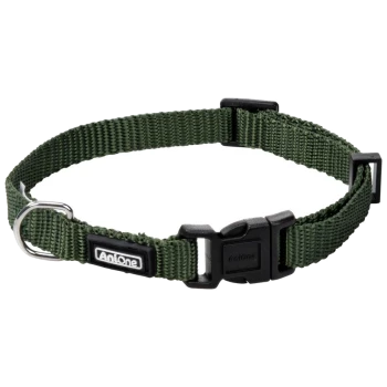 Groene nylon huisdierhalsband met een zwarte gesp en metalen D-ring, met de merknaam "AntOne" op de gesp.