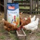 Sack PANTO MilbenRein Geflügelfutter mit Bildern einer Gans, eines Hahns und einer Henne, neben Hühnern, die aus einem Futterspender fressen.