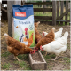 Sack PANTO MilbenRein Geflügelfutter mit Bildern einer Gans, eines Hahns und einer Henne, neben Hühnern, die aus einem Futterspender fressen.