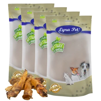 Vier Tüten Lyra Pet Nature Power Haustierleckerlis, mit einigen Leckerlis, die vorne angezeigt werden, mit Bildern eines Hundes, einer Katze und eines kleinen Hundes.