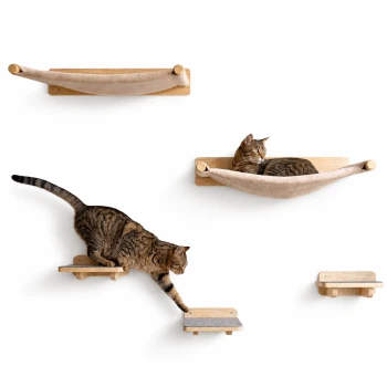 Eine getigerte Katze, die auf einer hölzernen wandmontierten Hängematte entspannt, während eine andere getigerte Katze nach einem kleinen Regal darunter greift.