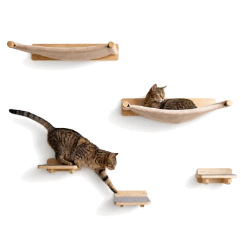 Eine getigerte Katze, die auf einer hölzernen wandmontierten Hängematte entspannt, während eine andere getigerte Katze nach einem kleinen Regal darunter greift.