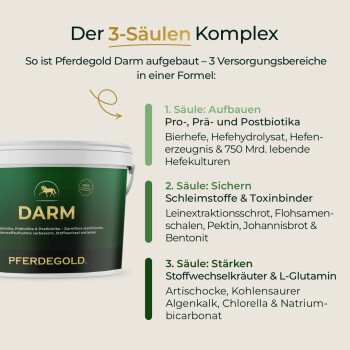 Grüner Pferdegold-DARM-Tiegel mit Pferdelogo und der deutschen Überschrift 'Der 3-Säulen Komplex', der die drei Säulen-Inhaltsstoffe auflistet.