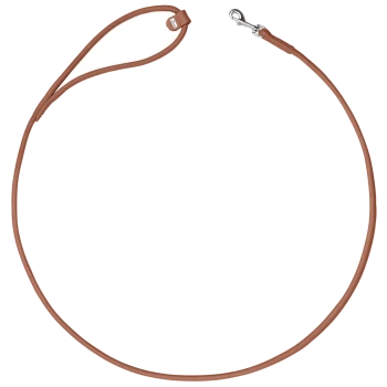 Braune Leder-Schlaufleine mit Schlaufenhandgriff, silbernem Karabiner und kleinem Anhänger (kein lesbarer Text).