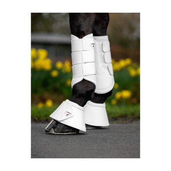 Nahaufnahme der Beine eines Pferdes, das weiße Schutzstiefel und Bandagen trägt, vor einem verschwommenen Hintergrund mit gelben Blumen.