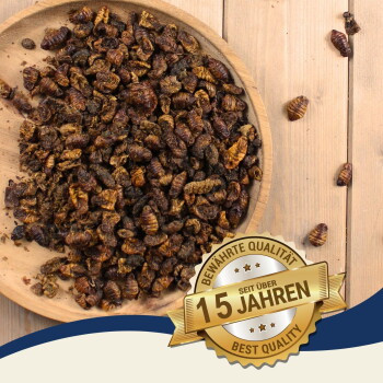 Getrocknete Insektenlarven auf einem Holzbrett mit einem goldenen Siegel mit der Aufschrift „Bewährte Qualität, 15 Jahre, Best Quality“ auf einer Holzoberfläche.