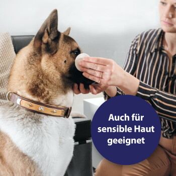 Person wischt mit einem Wattepad das Gesicht eines großen braun-weißen Hundes; blaues Badge zeigt "Auch für sensible Haut geeignet".