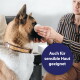 Person wischt mit einem Wattepad das Gesicht eines großen braun-weißen Hundes; blaues Badge zeigt "Auch für sensible Haut geeignet".