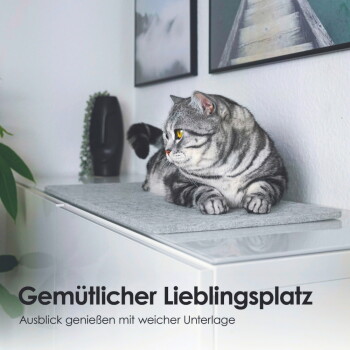 Graue Tiermatte mit den Abmessungen 64 cm x 30 cm x 0,6 cm, von oben mit beschrifteten Maßen gezeigt.