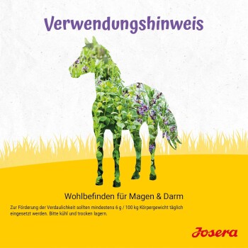 Eine Nahaufnahme eines Haufens von Nahrungsergänzungsmittel-Pulver für Haustiere, das eine Mischung aus gemahlenen Kräutern und Samen zeigt, mit einer strukturierten, erdigen Erscheinung.